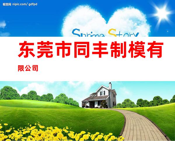 东莞市同丰制模有限公司