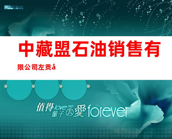 中藏盟石油销售有限公司左贡县顺达加油站